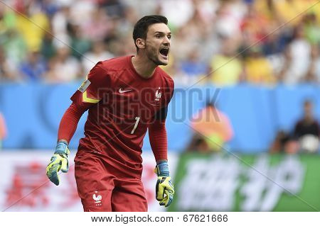 World Cup 2014