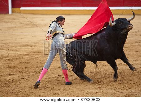 Passess Of The Bullfighter Israel Lancho