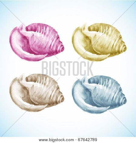 Set of Watercolor Shells