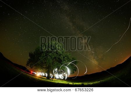 lonely tree on field under the night sky