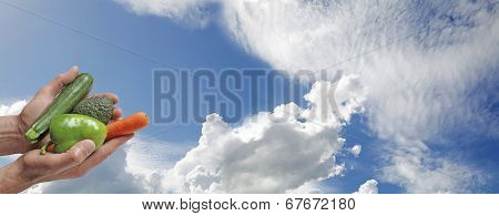 Organic Vegetable Producer Website Banner