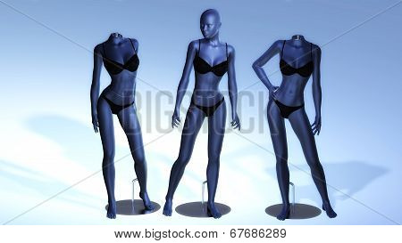 Virtual Manikins