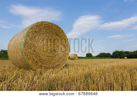 Landscape And Hay Bale