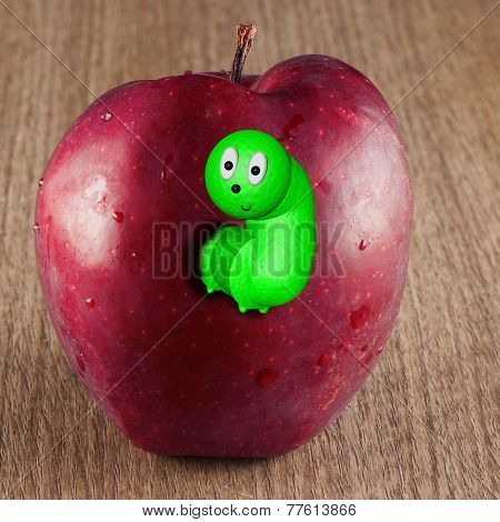 Worm In The Apple