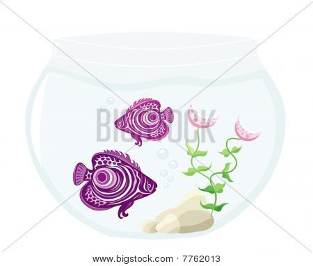 Acquario