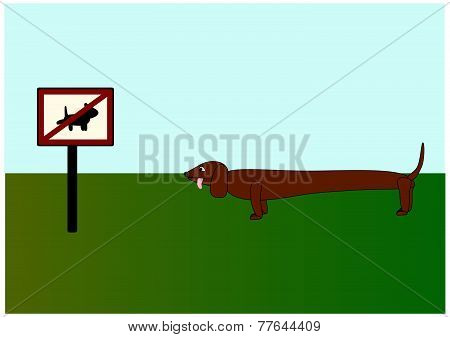 Dog looking at a warning sign