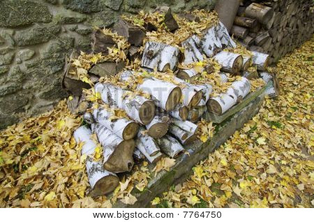 Logs