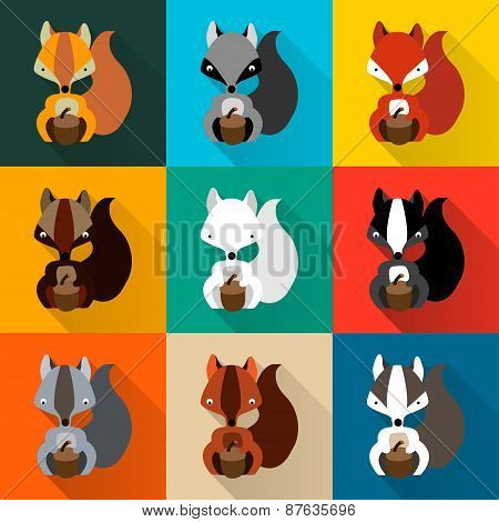 Rodents