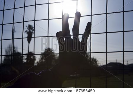 Reaching For The Sun
