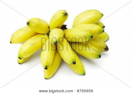 Żółtych bananów
