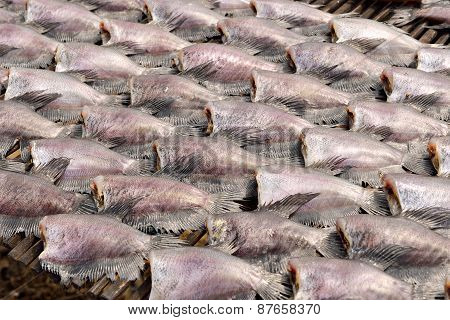 Sun Dried Salid Fish Before Cooking Sell In The Market In Thailand