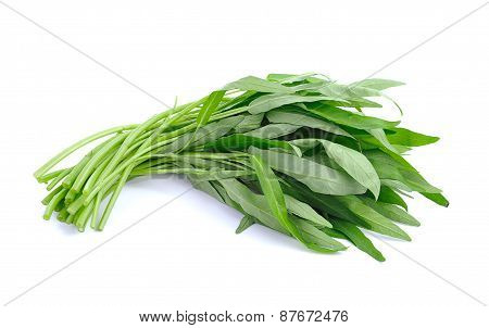 Water Spinach Isolated On White Background