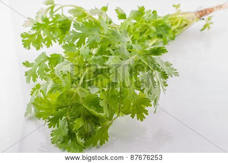 Fresh Parsley
