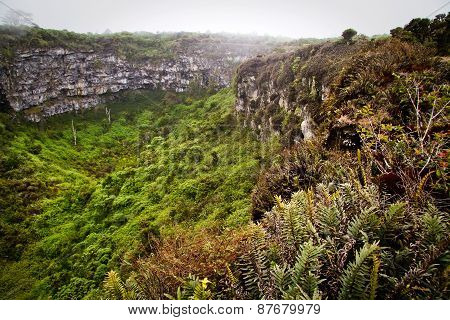 Amazing landscape of Twin Craters, Los Gemelos, mysterious mossy forest in Santa Cruz island, Galapa