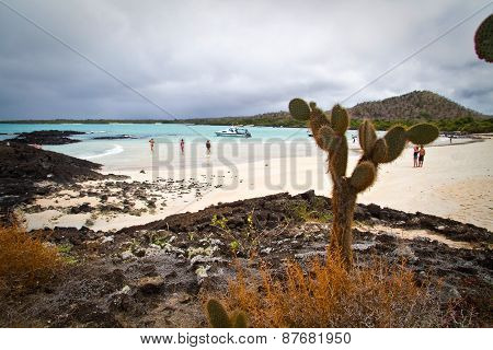 Unidentified tourists enjoying sunny day at beautiful deserted Garrapatero beach in Santa Cruz islan