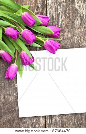 Violet Tulips On The Oak Brawn Table With White Sheet Of Paper 4