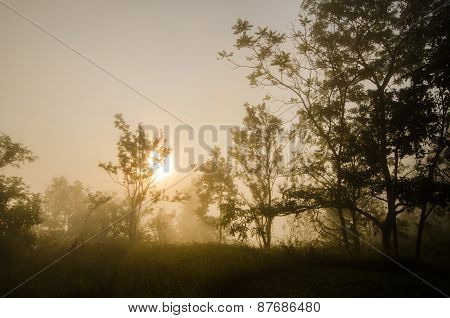 One Day Morning.
