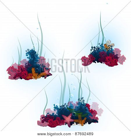 Vector illustration of decorative corals and seaweed