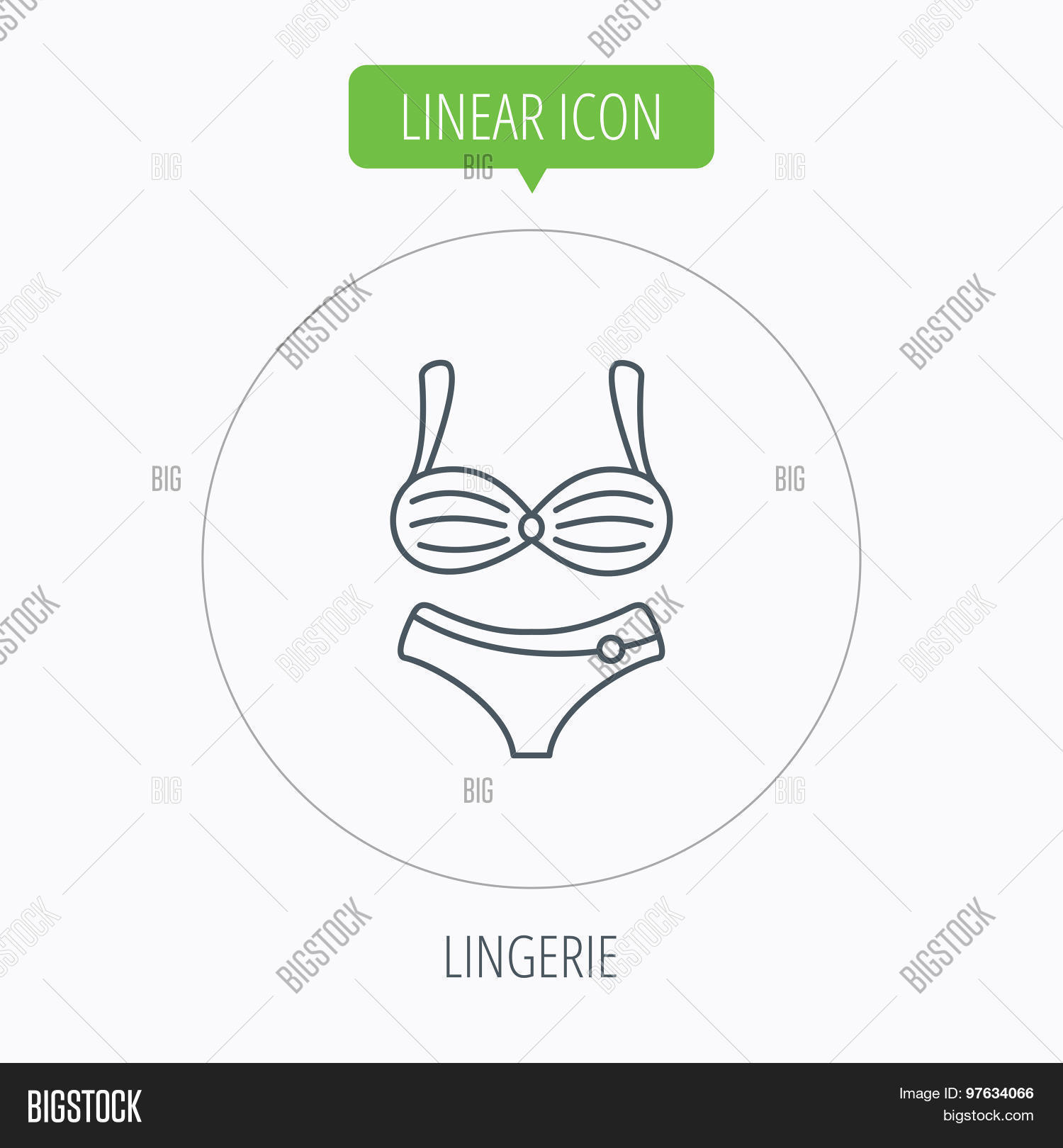 Lingerie Icon. Women Vector & Photo (Free Trial) | Bigstock