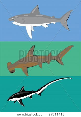 Three sharks.