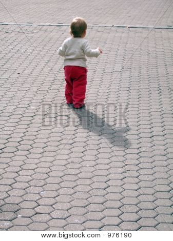İlk adımlar