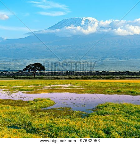 African Landscape