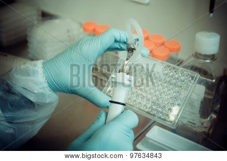 Laboratory Technician Working With Multiwell Pipette, Soft Focus