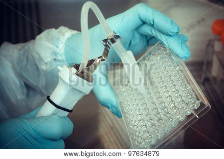 Laboratory Technician Working With Multiwell Pipette