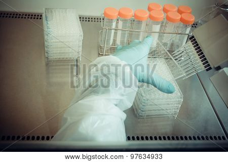 Laboratory Technician Working With Multiwell Pipette, Soft Focus