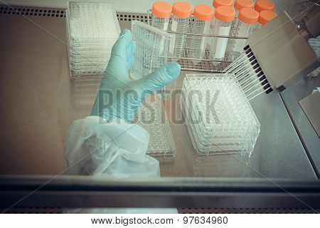 Laboratory Technician Working With Multiwell Pipette