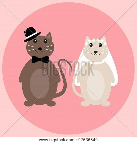 Cute cats wedding