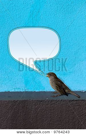 Ave