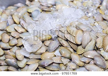 Fresh Mussels On Ice Exposition At The Seafood Market In Thailand