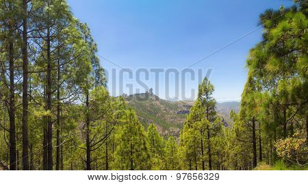 Inland Gran Canaria