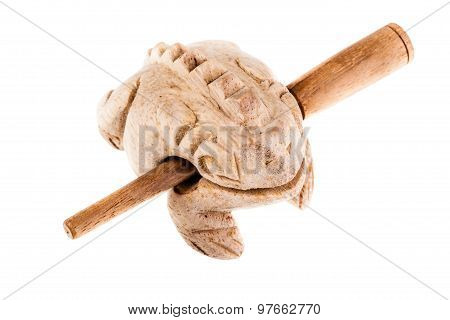 Frog Guiro Music Percussion