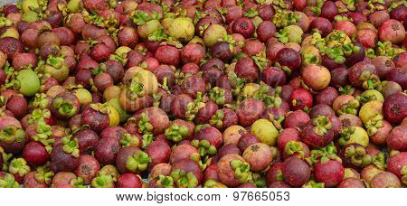 Fresh Organic Mangosteen Fruits At The Market