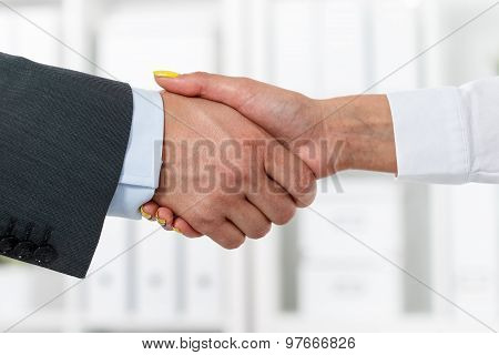 Male And Female Handshake In Office