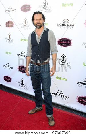 LOS ANGELES - AUG 1:  Jeffrey Vincent Parise at the A CATbaret! - A Celebrity Musical Celebration of the Alluring Feline at the Avalon on August 1, 2015 in Los Angeles, CA