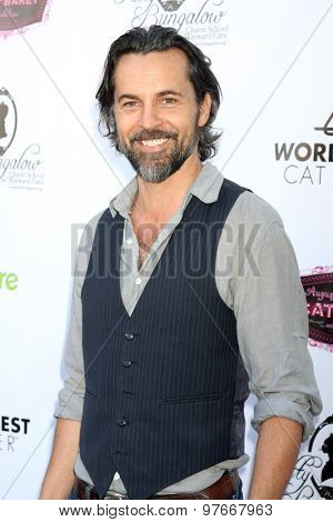 LOS ANGELES - AUG 1:  Jeffrey Vincent Parise at the A CATbaret! - A Celebrity Musical Celebration of the Alluring Feline at the Avalon on August 1, 2015 in Los Angeles, CA