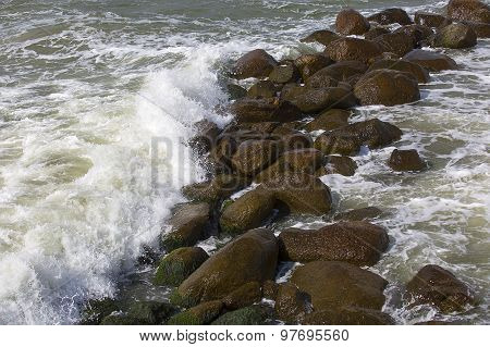 Tidal Bore