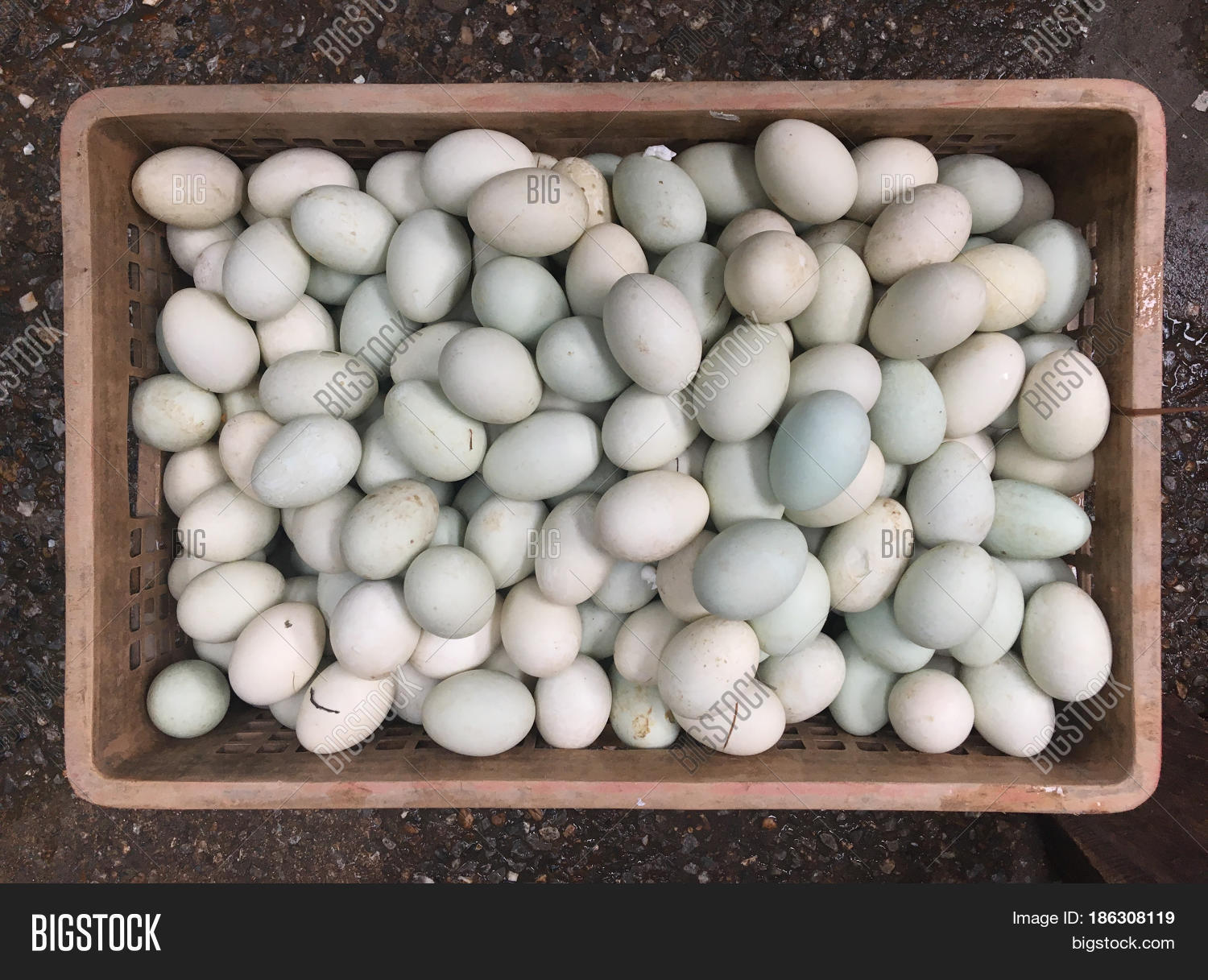 Many Fresh Duck Eggs Image & Photo (Free Trial) Bigstock