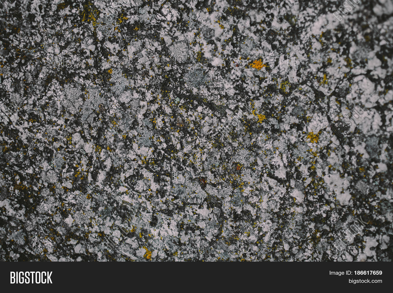 Read With Stone Rough Rough Stone 图片和照片(免费试用) | Bigstock