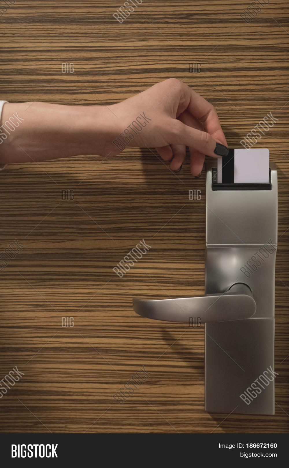 Close Female Hand Image & Photo (Free Trial) Bigstock