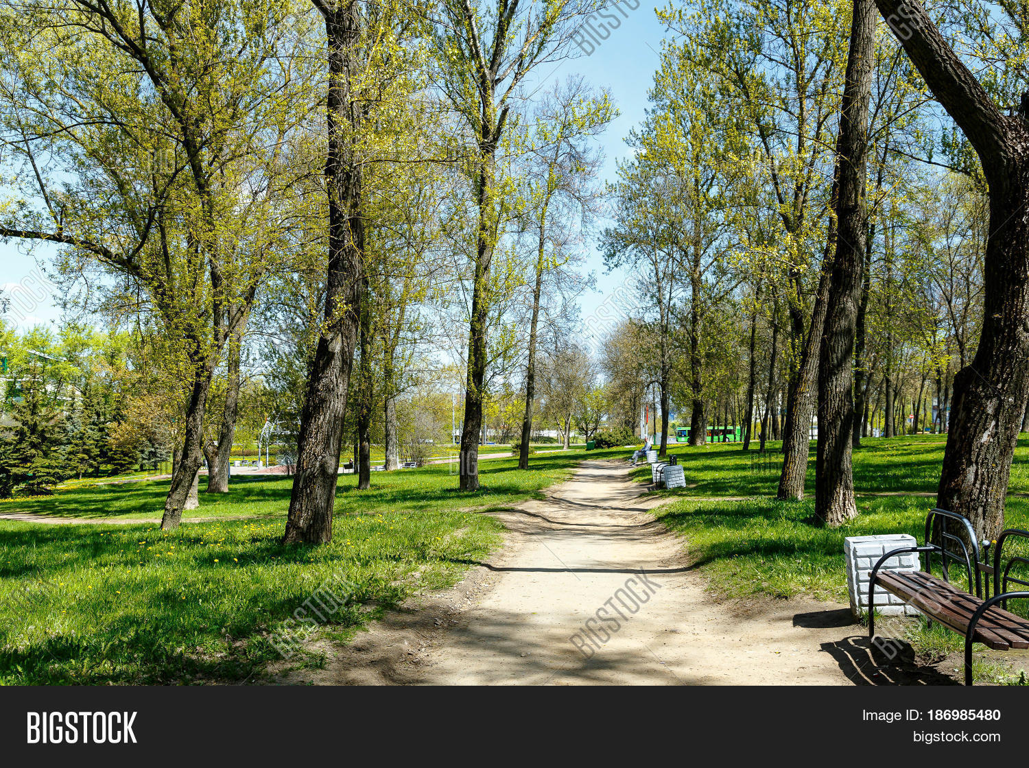 Beautiful Green Park Image & Photo (Free Trial) Bigstock