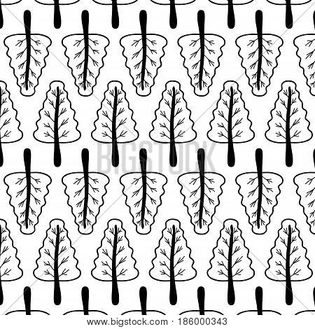 line nice organic plant with branches bachground, vector illustration design