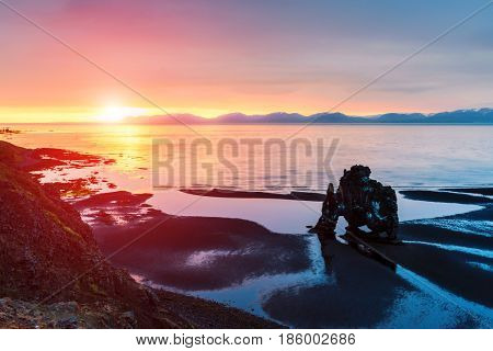 Basalt stack Hvitserkur on the Vatnsnes peninsula, Iceland, Europe.