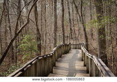 Walking trail thru natural wood setting.  Wood boardwalk path through forest.  Explore and enjoy recreational walk or hike through the woods.