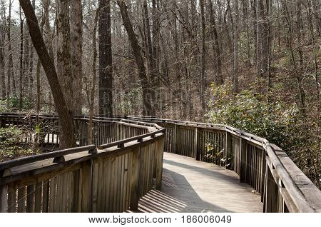 Walking trail thru natural wood setting.  Wood boardwalk path through forest.  Explore and enjoy recreational walk or hike through the woods.