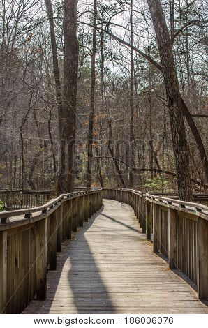 Walking trail thru natural wood setting.  Wood boardwalk path through forest.  Explore and enjoy recreational walk or hike through the woods.