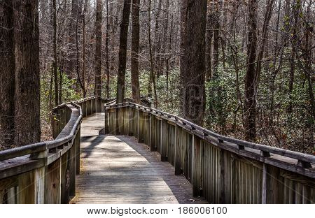 Walking trail thru natural wood setting.  Wood boardwalk path through forest.  Explore and enjoy recreational walk or hike through the woods.